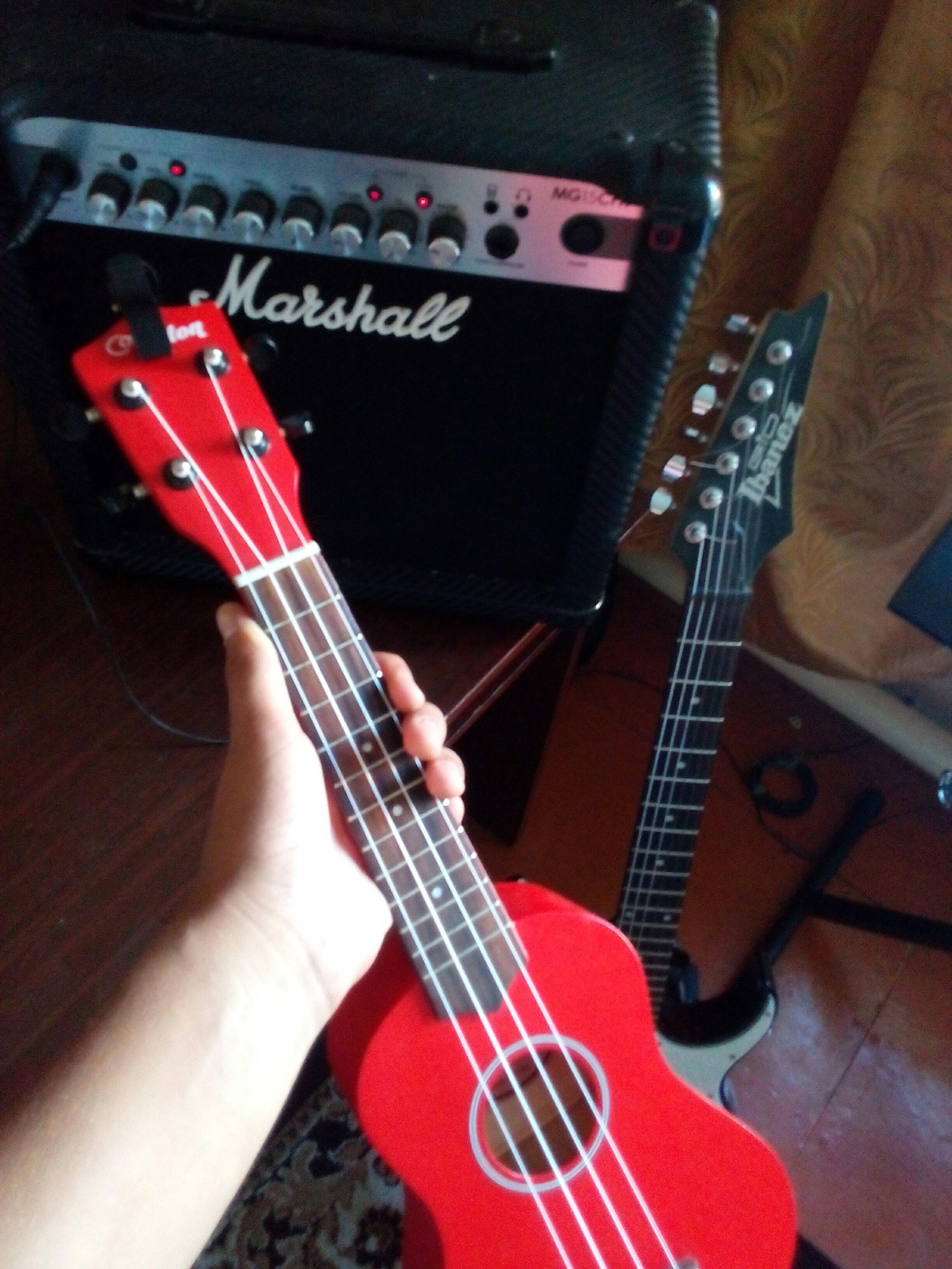 Electric guitar? - My, Music, Ukulele, Longpost, Musical instruments