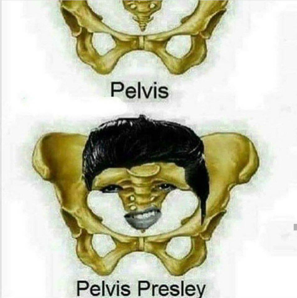 40 years ago the world said goodbye to the King. - Elvis Presley, , King