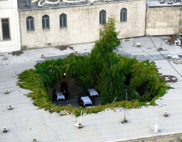 Restaurant in Baku - A restaurant, Open-air, Baku, 