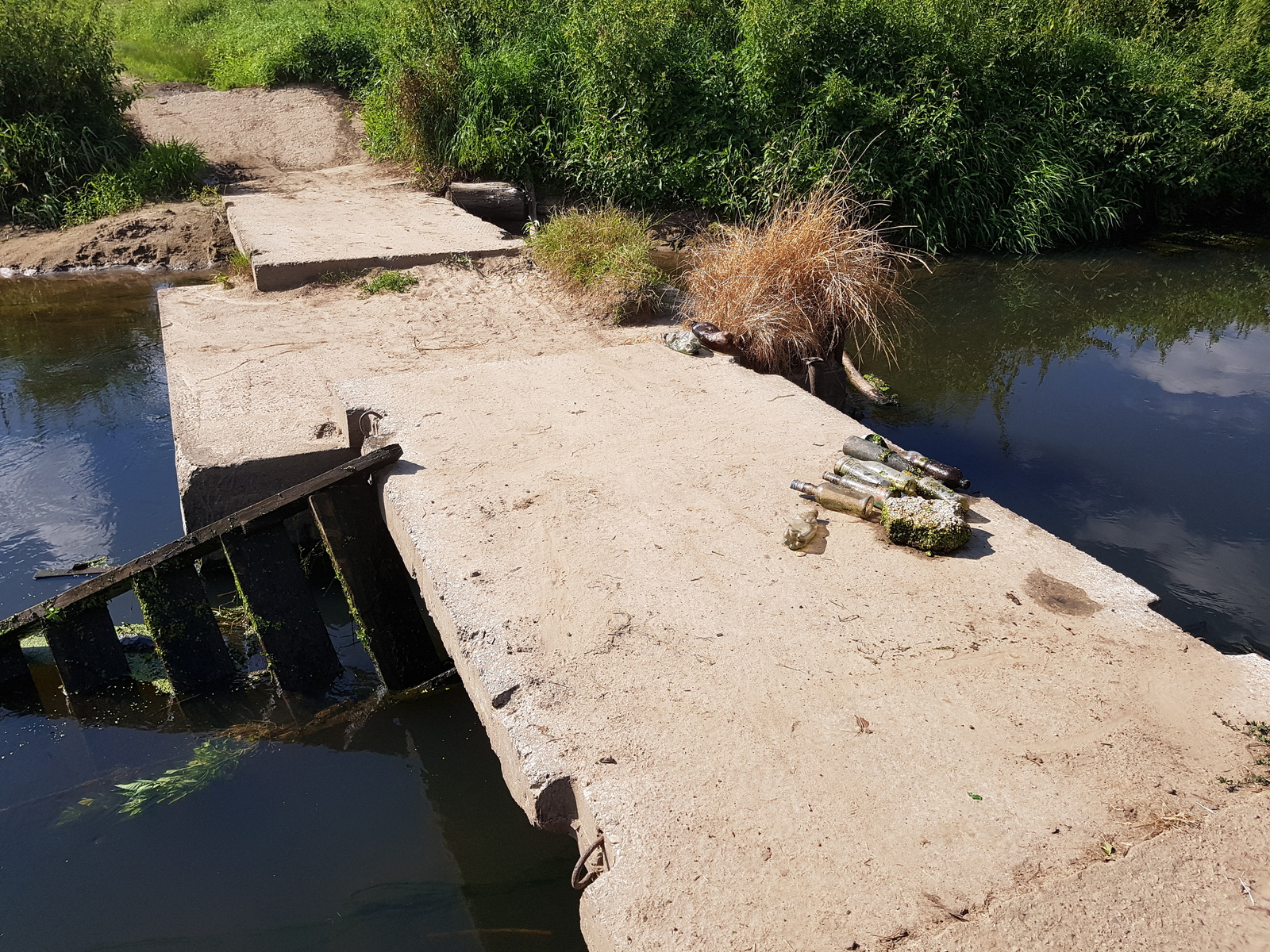 Removed garbage near the Desna River - My, Chistoman, Clean forest, Cleaning, Garbage, Ecology, Nature, River, Longpost