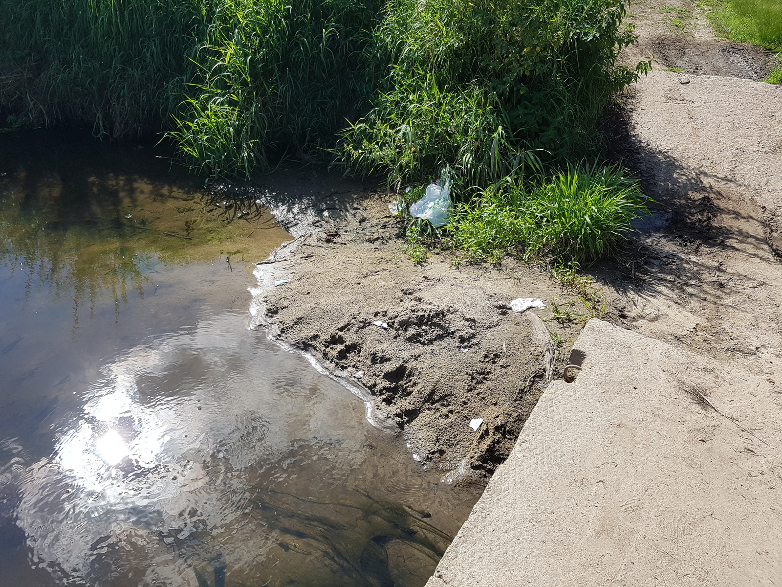 Removed garbage near the Desna River - My, Chistoman, Clean forest, Cleaning, Garbage, Ecology, Nature, River, Longpost