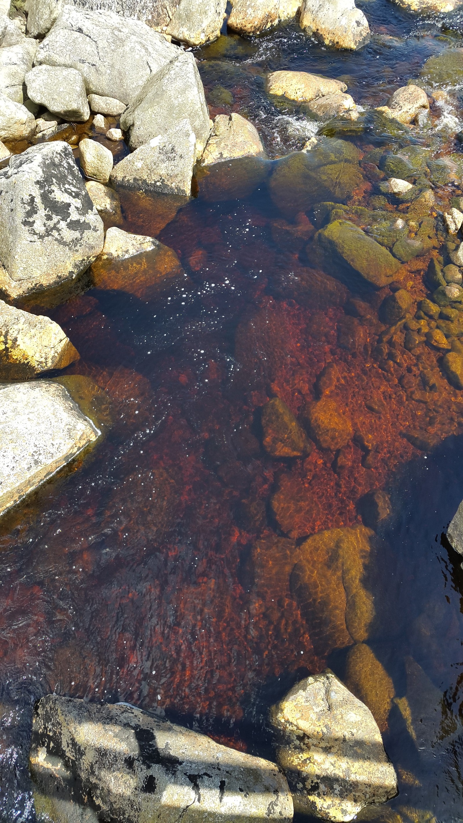 Glendalough - Guinness colored lakes - My, Ireland, , Nature, Tourism, Travels, Lake, Longpost, Dublin