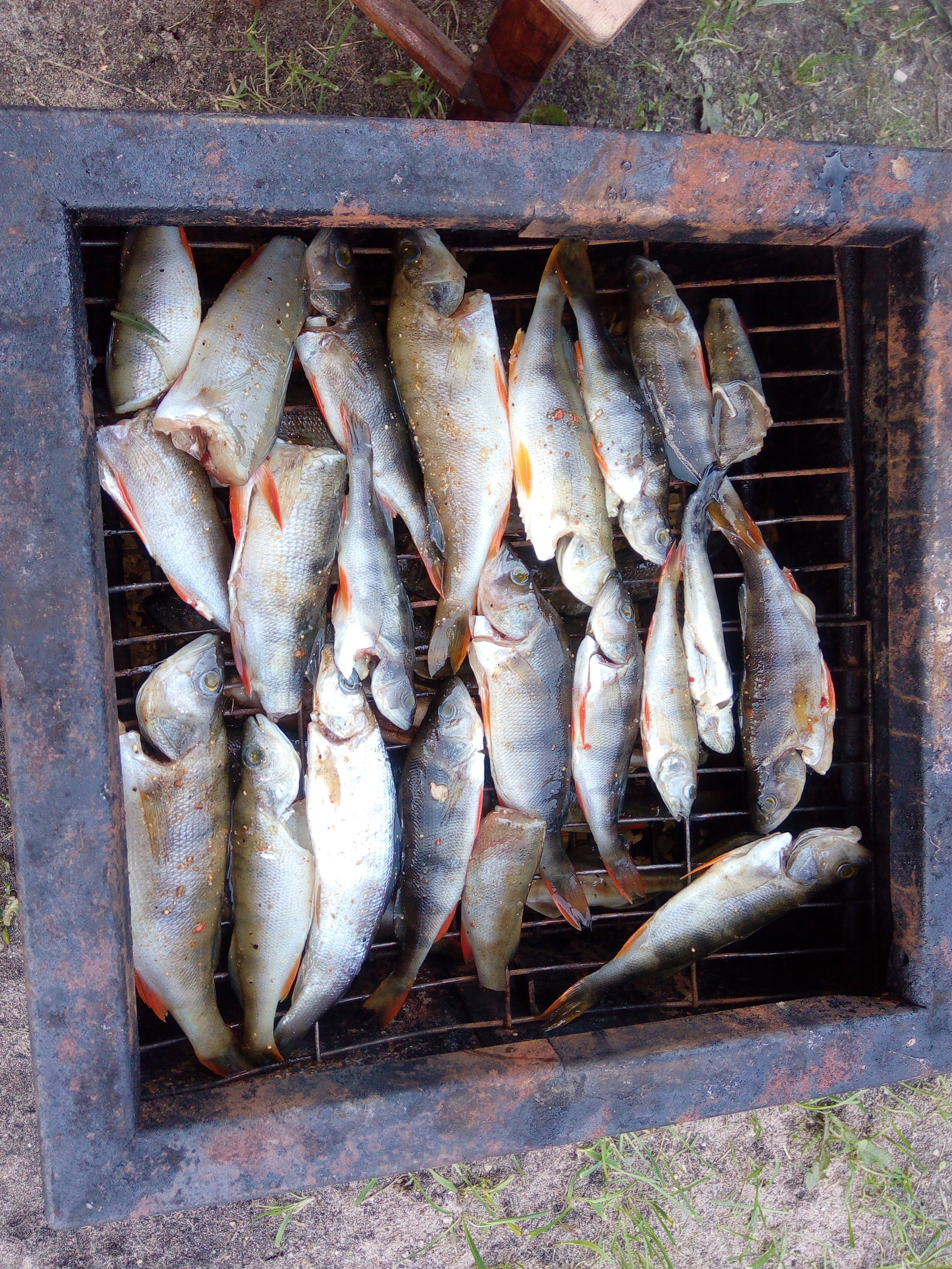 Hot smoking - My, A fish, Hot smoking, Longpost