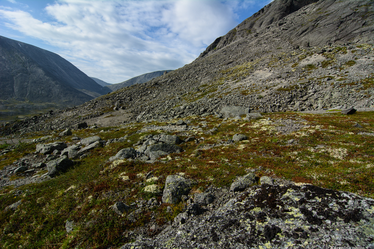 Journey to the Kola Peninsula. Part 4. Khibiny - My, Travels, Travel across Russia, Khibiny, Longpost, Summer, Kola Peninsula