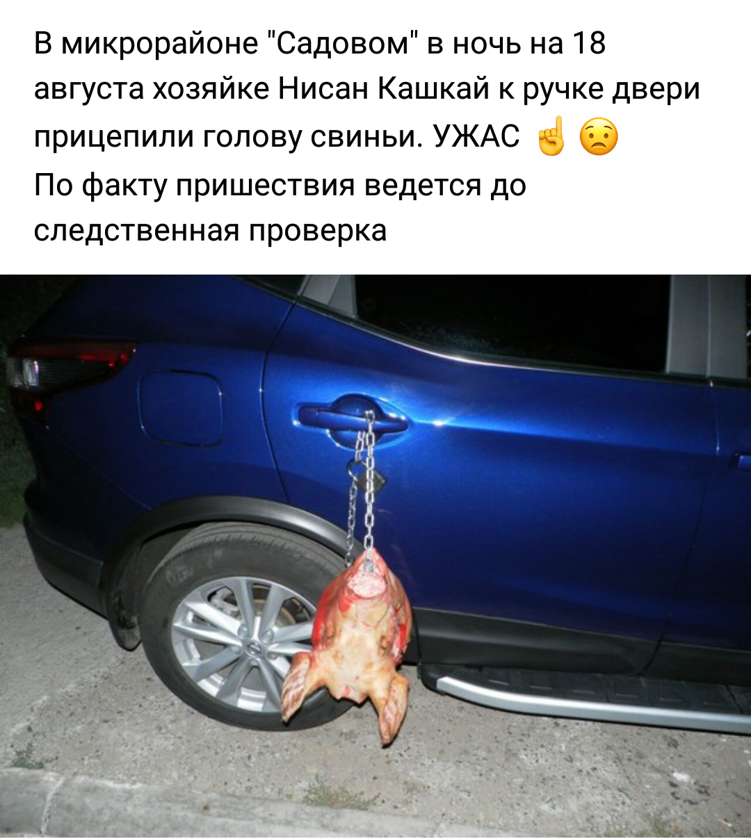 Creative punishment for parking?! - Cheboksary, Неправильная парковка, Pig, Punishment, Taken by Vkontakte