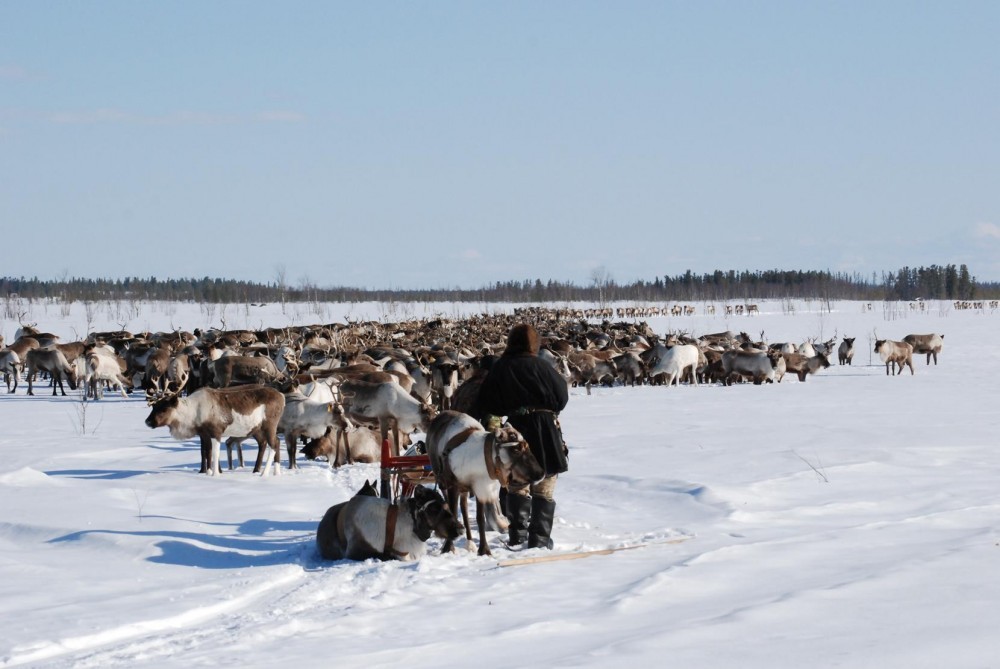 Far North - Arctic, Far North, freezing