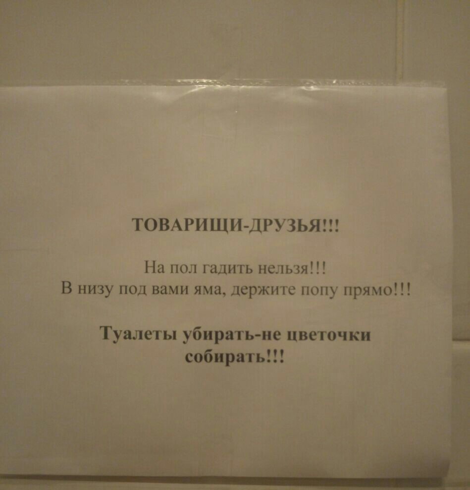 Это вам не цветочки собирать - Моё, Туалет, Туалетный юмор, Уборка