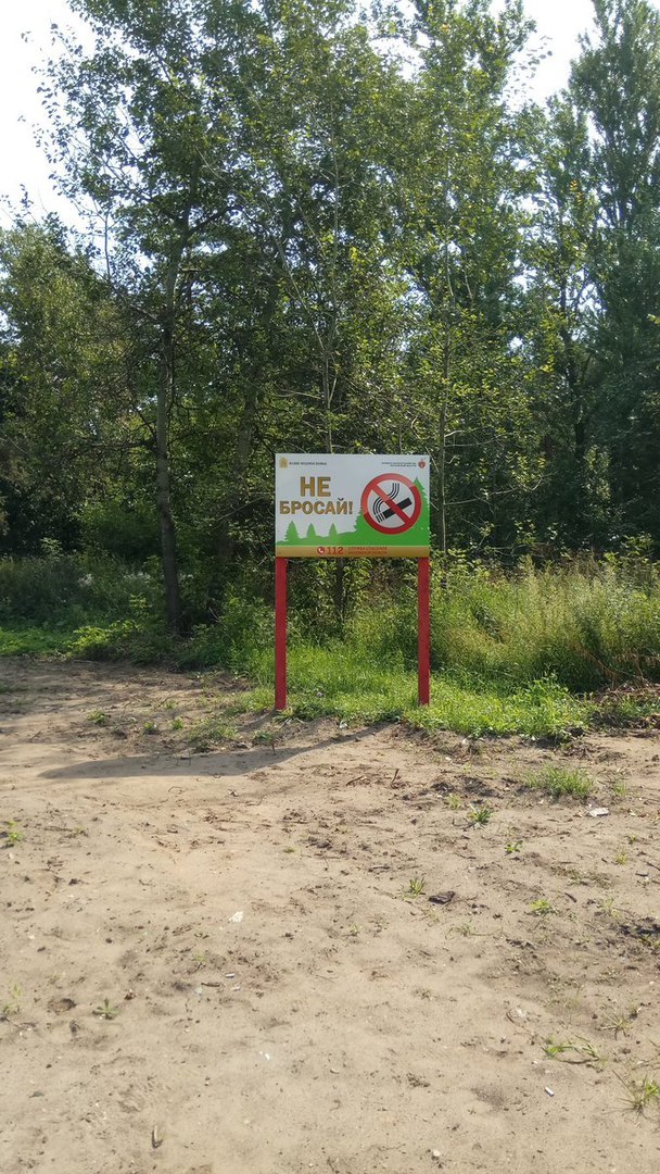 Don't quit.. what? - My, Moscow region, Forest, Smoking, Cigarettes