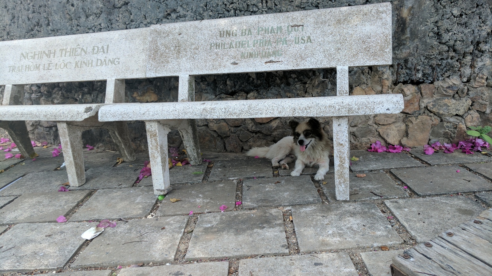 Smiling Vietnam - My, Vietnam, Travels, Vung Tau, Mui Ne, Asia, Longpost