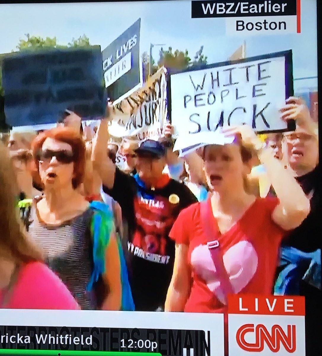 The pinnacle of stupid ... ahem, tolerance - Boston, Protest actions, Tolerance, Fairy-tale animals, USA, Politics