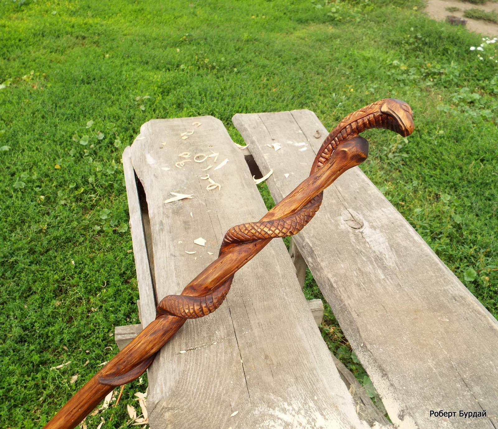 Staff Serpent wood carving. cedar. - My, Wood carving, Staff, Longpost