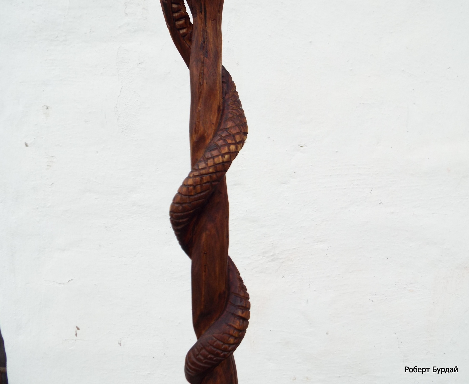 Staff Serpent wood carving. cedar. - My, Wood carving, Staff, Longpost