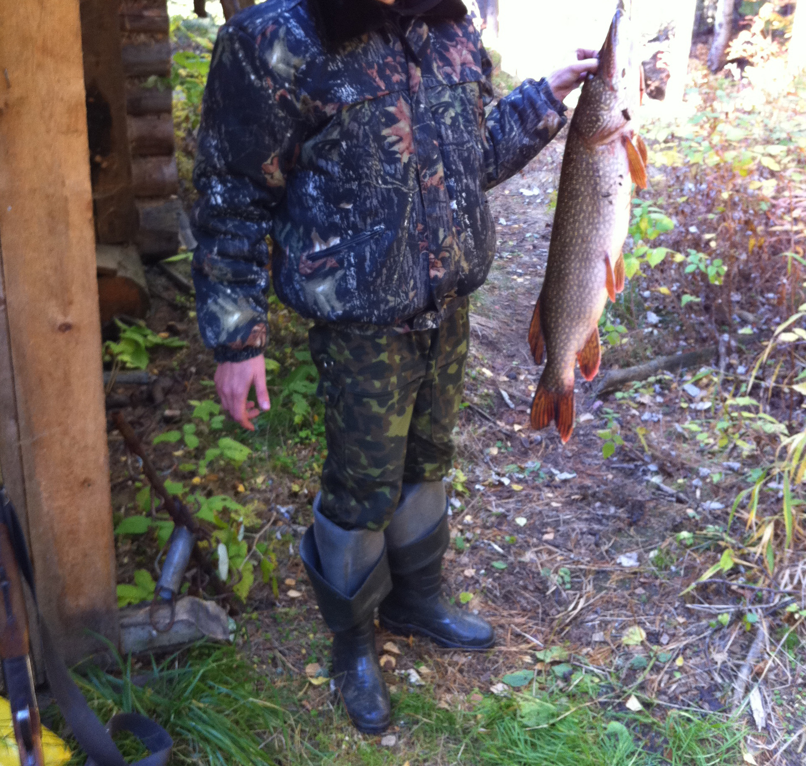 Pike. Tomsk region River Salad. 2011 - My, Pike, Fishing