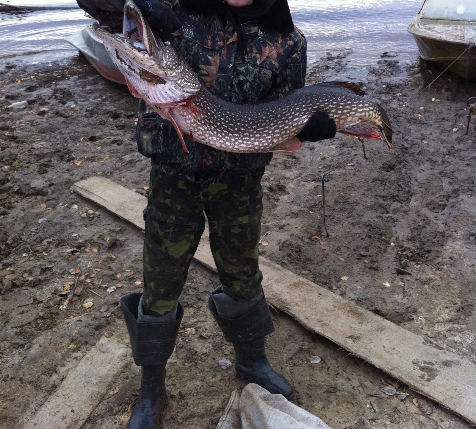 Pike. Tomsk region River Salad. 2011 - My, Pike, Fishing