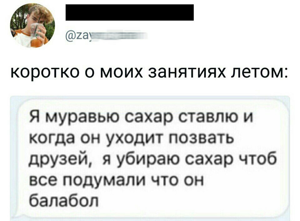 О том как я провожу лето - Лето, Муравьи