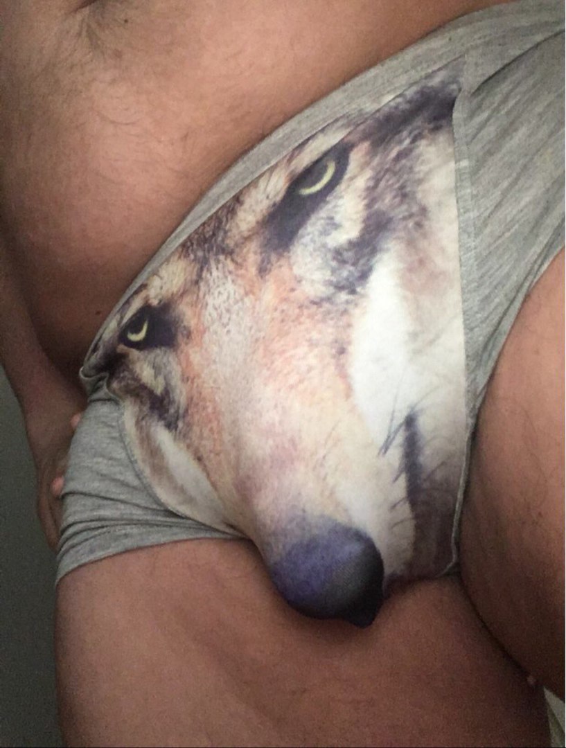 chotarju - Underpants, Wolf