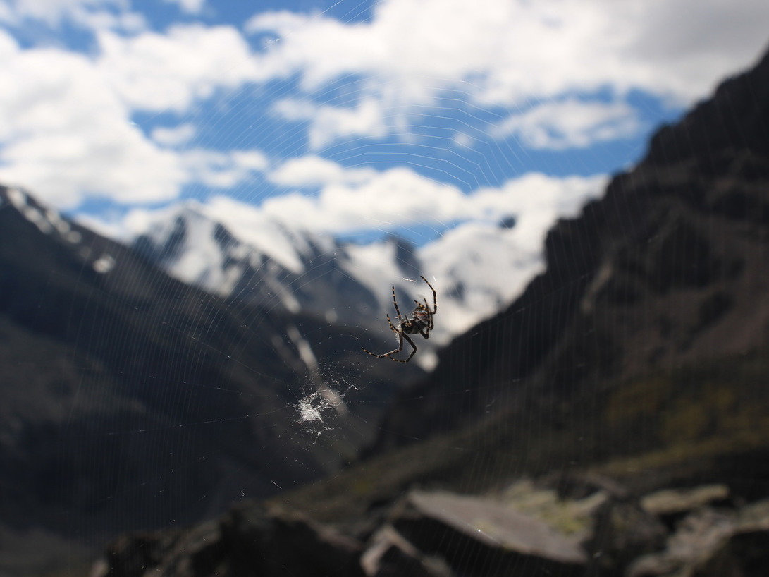 My first trip. - My, Altai, Hike, Tourism, Shavlin Lakes, Nature, Travels, Longpost, Altai Republic