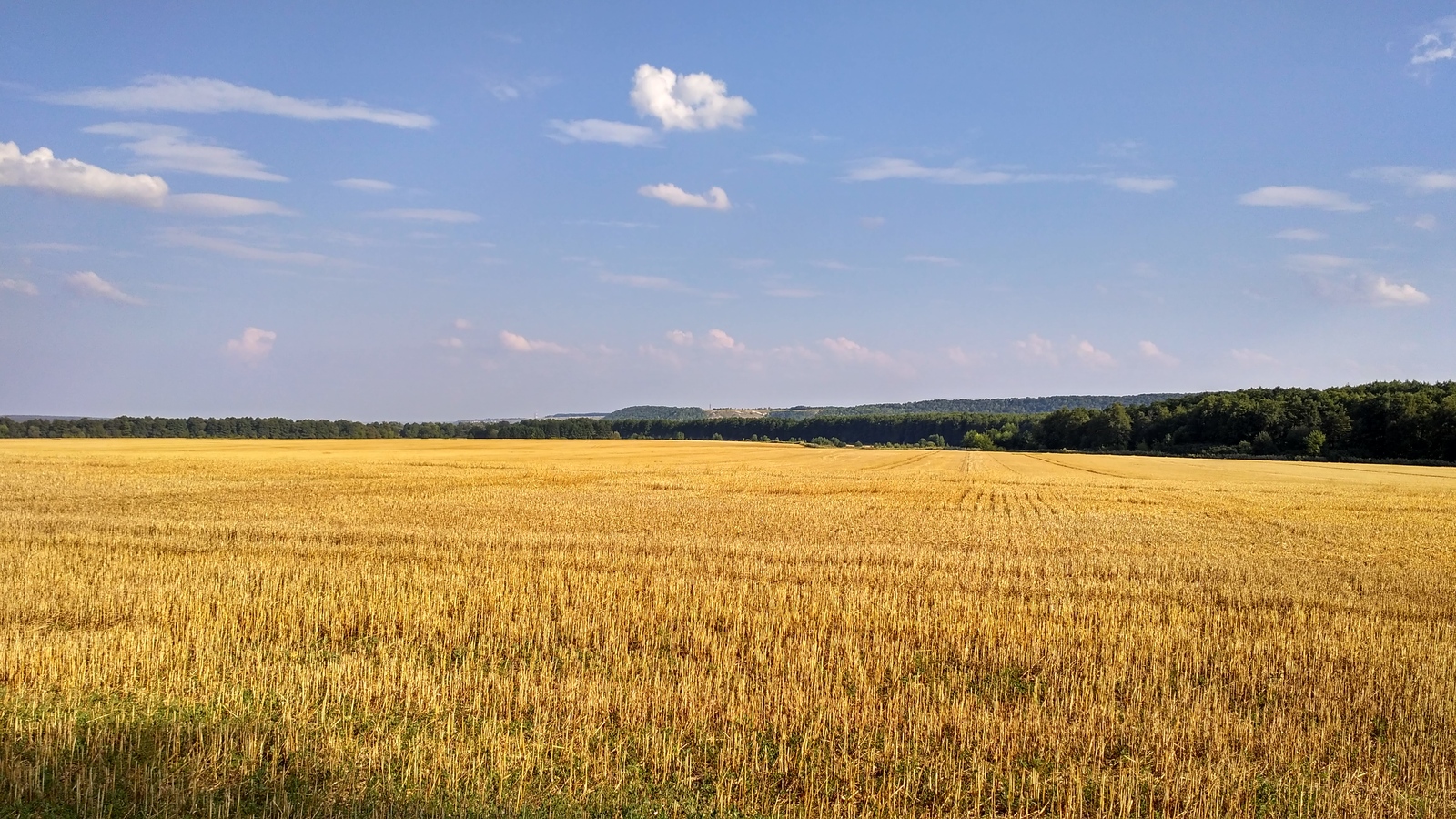 rural spaces. - My, Voronezh region, The photo, Enthusiasm, Nature, Village, Landscape, Longpost