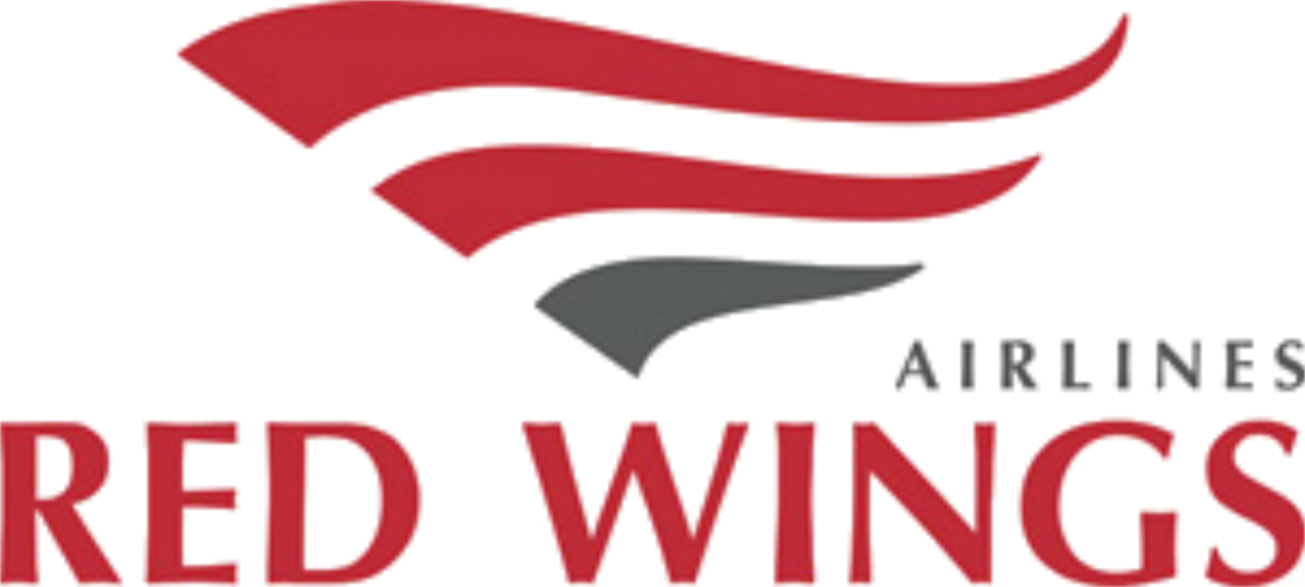 red wings. For your convenience. - My, My, Red Wings, Tools, Musical instruments, Airplane