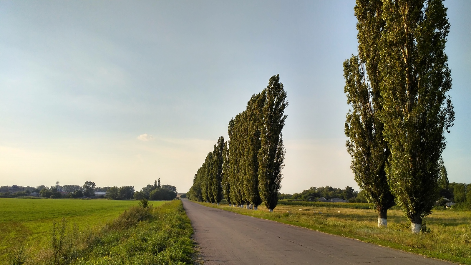 Села воронеж. Село просторы Крупского района Ульяновской области.