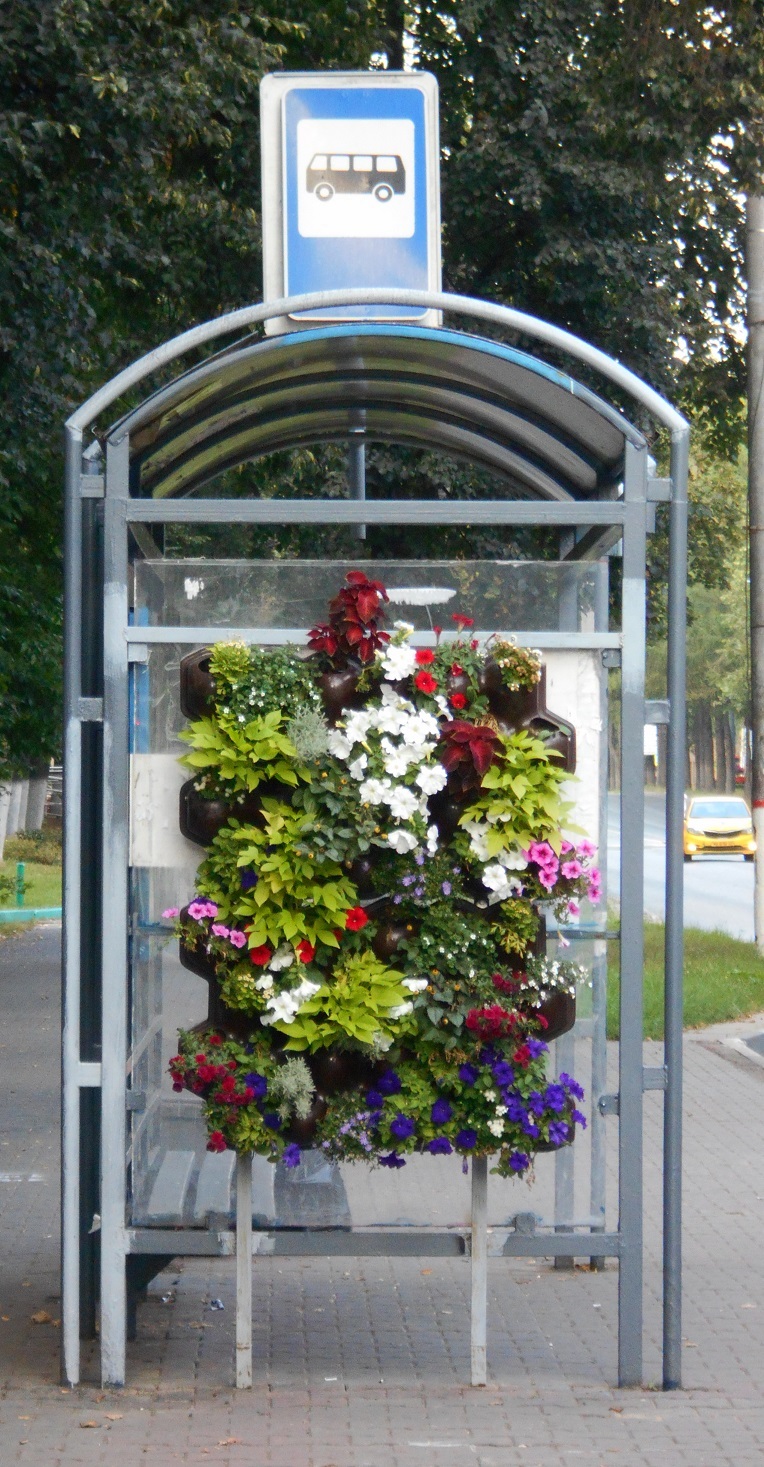 Modular hinged vertical flower bed - My, The photo, Vase, Flower bed, Flowers, Plants, Beautification, Moscow region, Beautiful, Longpost