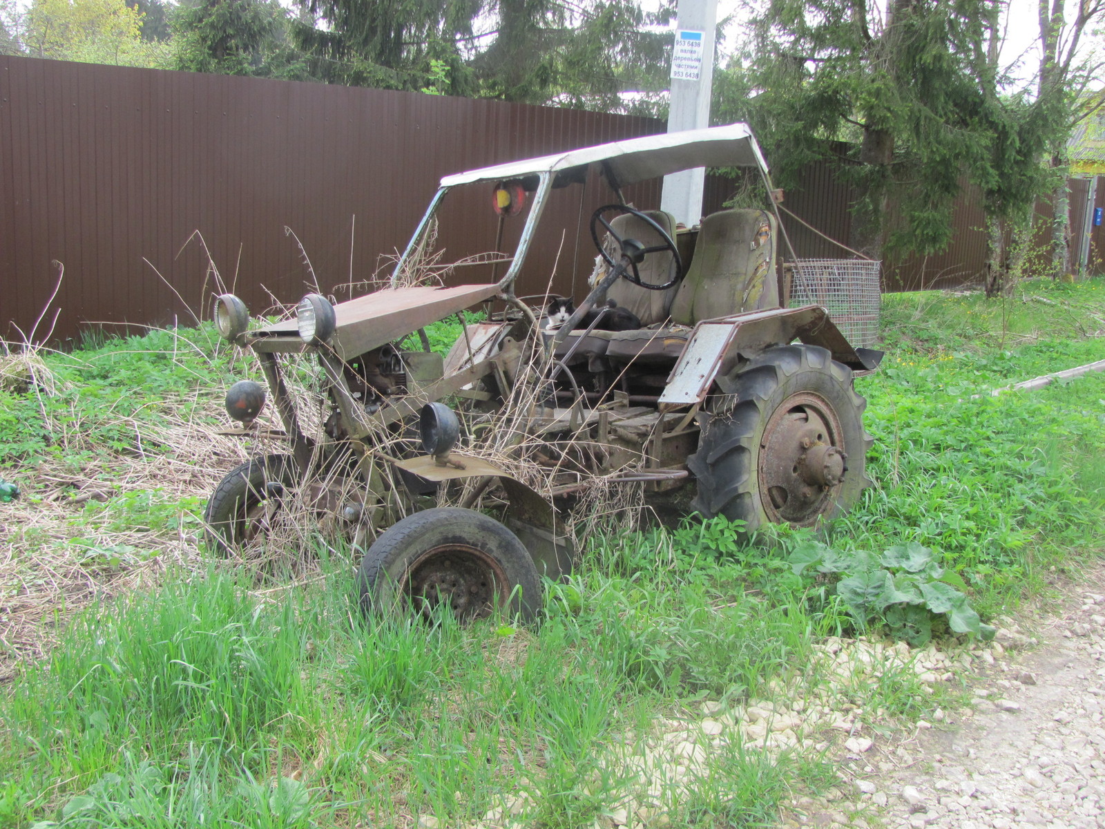 That's what real cats ride! - My, Cabriolet, Jalopy, Tractor, Homemade car, , cat, Siversky, Пассажиры