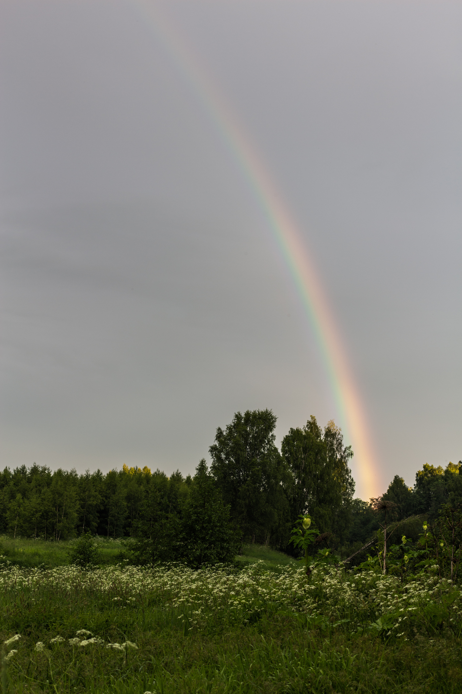 Somewhere near Ivanovo - My, The photo, A selection, Nature, The nature of Russia, Fog, , Rainbow, Canon 650d, Longpost