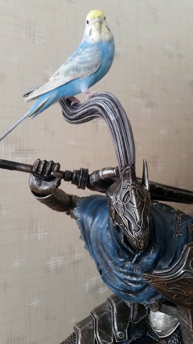 ArtoriasTheAbysswalker :). - Dark souls, Dark souls 3, , Dark souls 2, Artorias, , A parrot