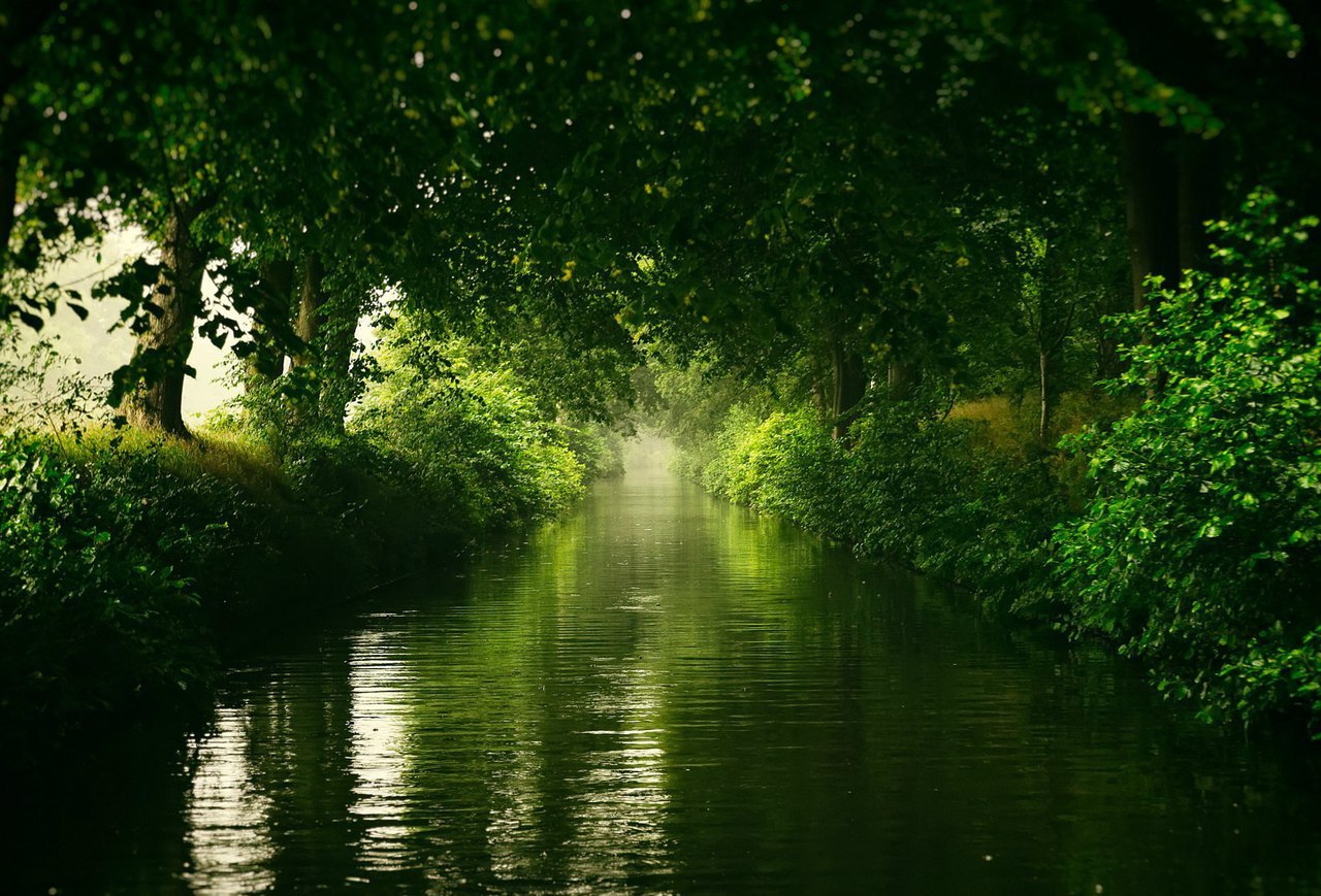 Water alley in the Netherlands - Netherlands, Holland, Travels, Netherlands (Holland)