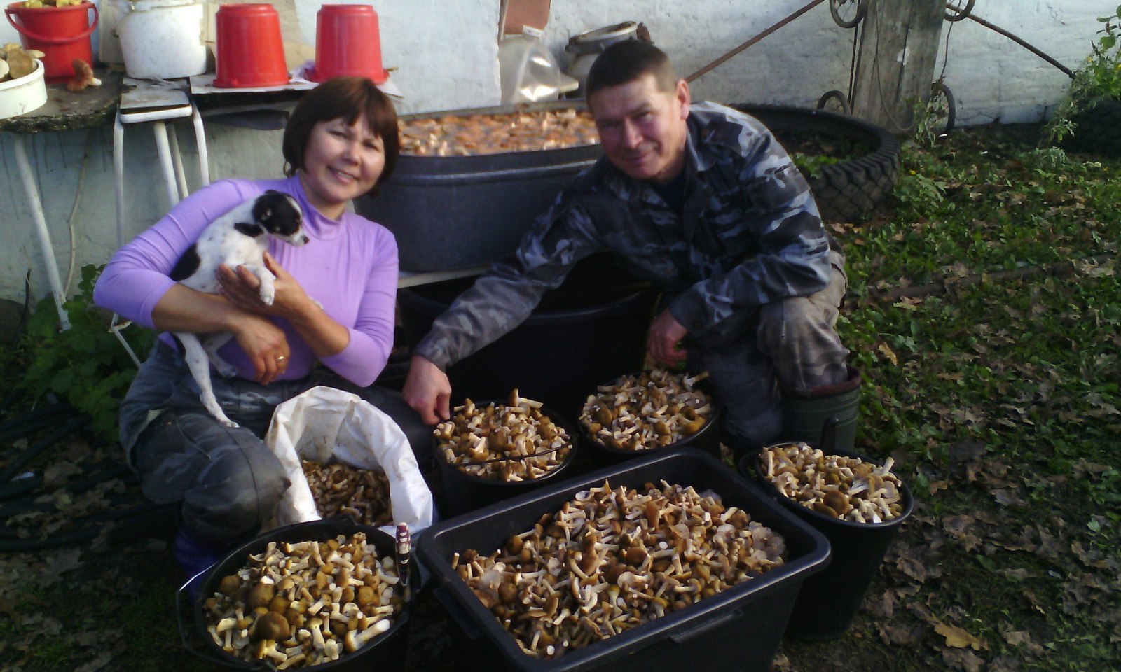 Silent hunt - My, Silent hunt, Mushrooms, Longpost