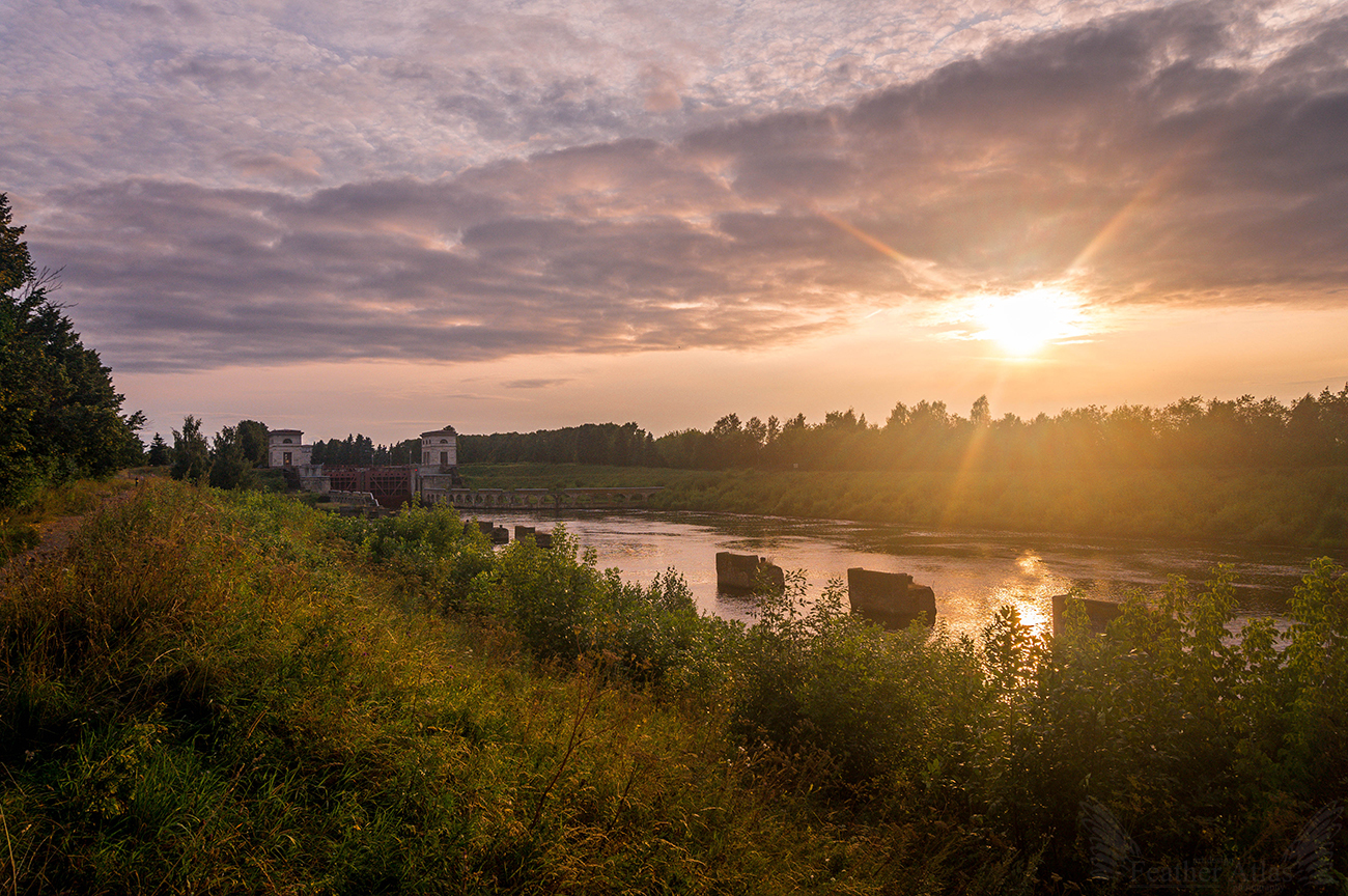 Last Summer Friday 2017 - My, Featheratlas, Nature, Landscape, Flowers, August, Summer, Volga, Sunset, Longpost, Volga river