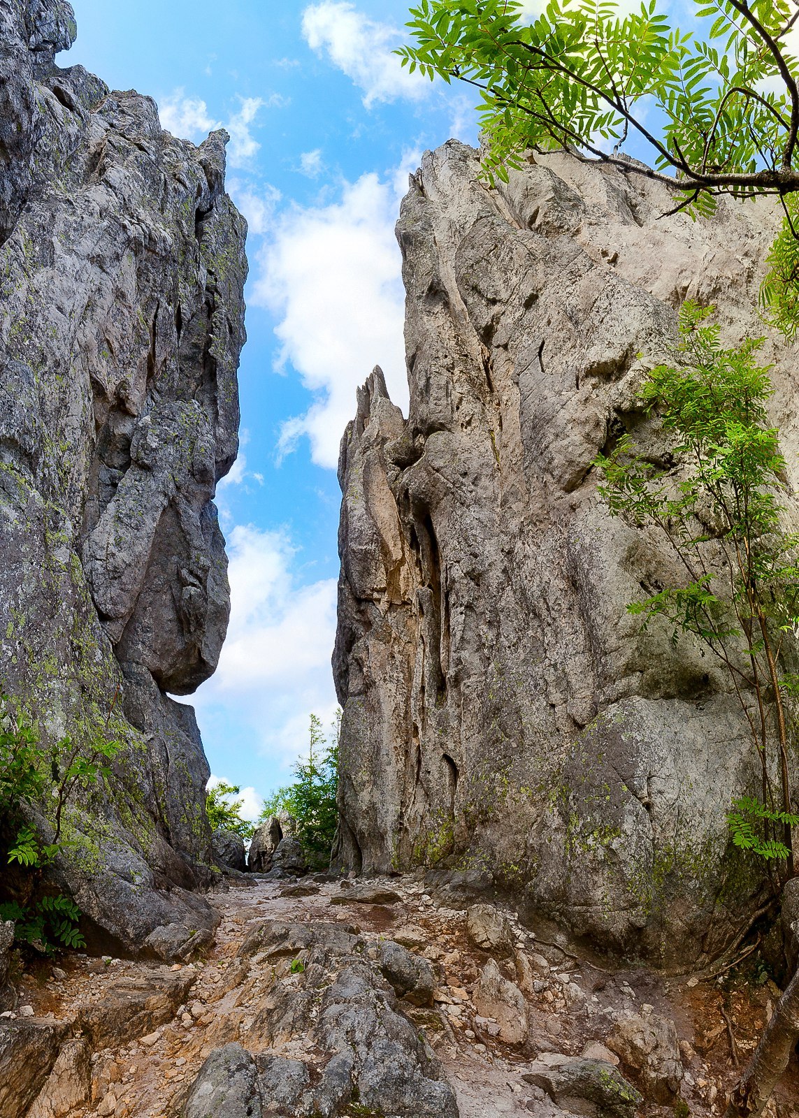 Southern Urals - Southern Urals, Taganay, Russia, Gotta go, Landscape, The photo, Longpost