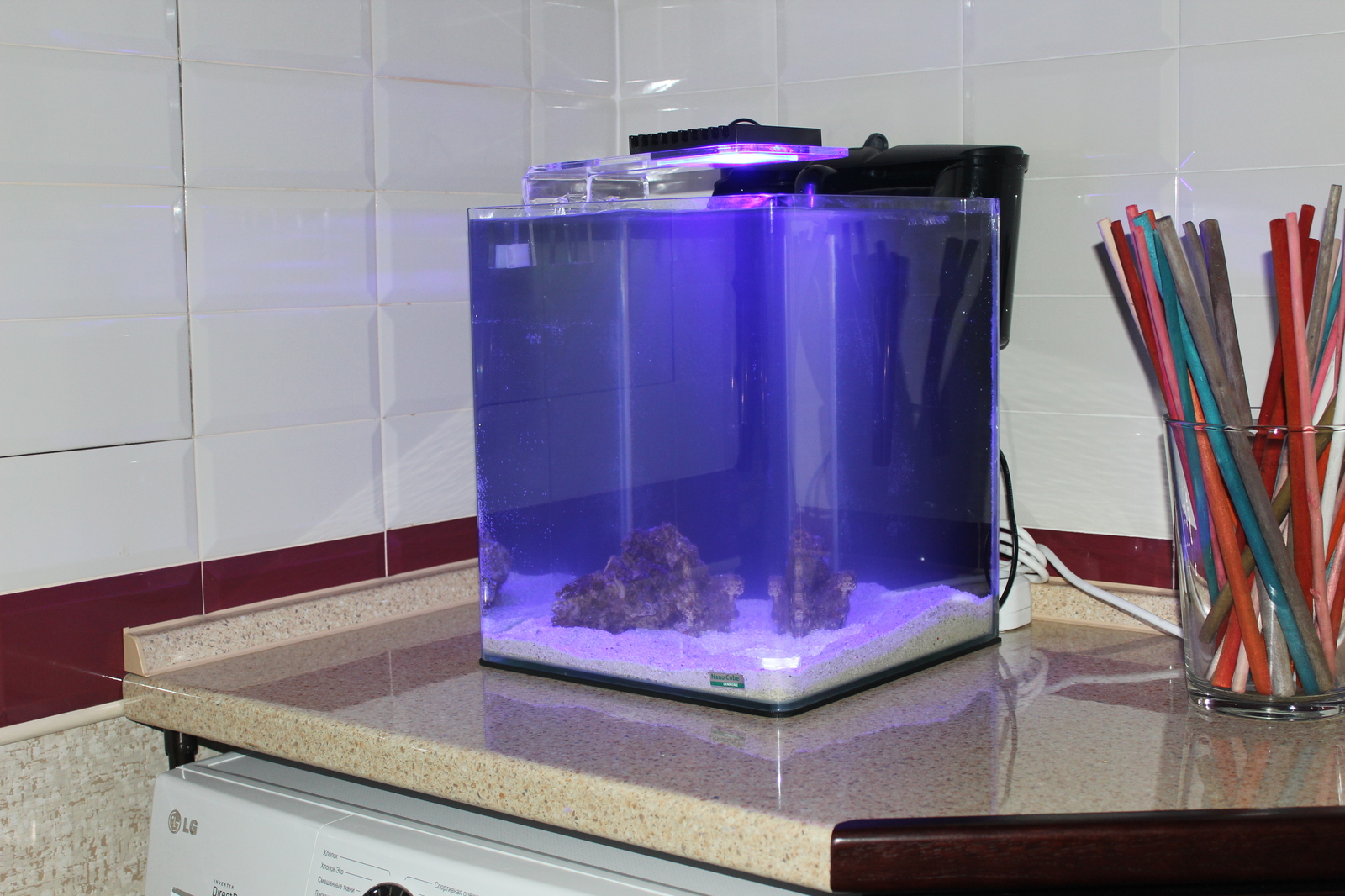 The practical side of starting a marine nano aquarium - My, , Reef, Nanotechnology, Aquarium, Longpost