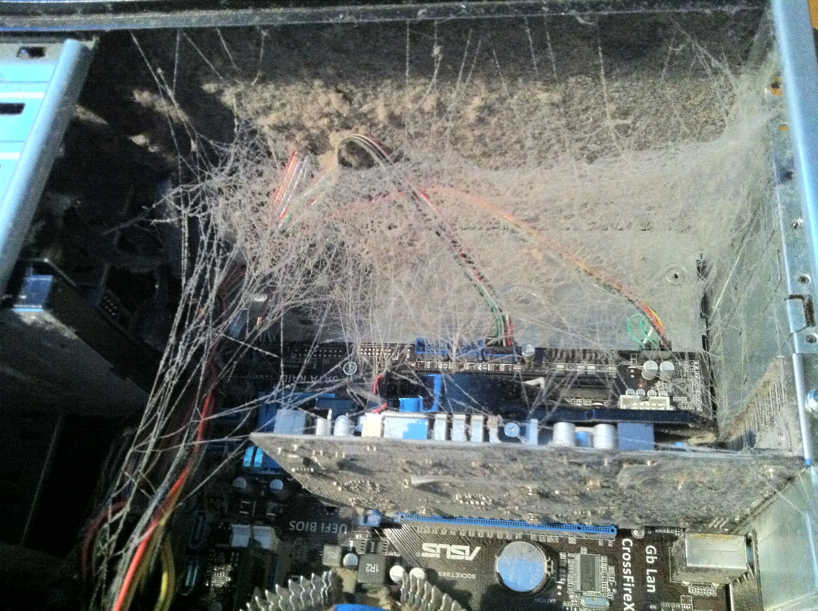 In Clean PCs - My, Computer, Dust, Computer Repair, Disgusting