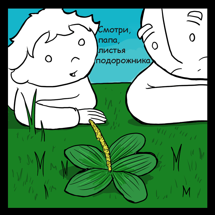 Plantain. - Comics, Translation, Lunarbaboon, Plantain, Longpost