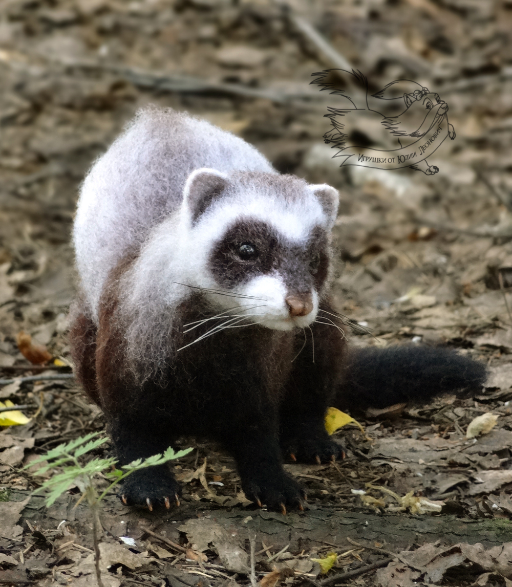 Frame toy. Ferret. - My, Dry felting, Wallow, Ferret, Ferret, Author's toy, Pets, Wild animals, Cunyi, Longpost