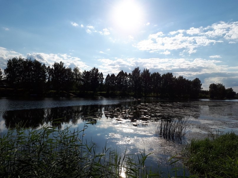 Solonitsa River - My, My, River, Yaroslavskaya oblast, Nature, I want criticism