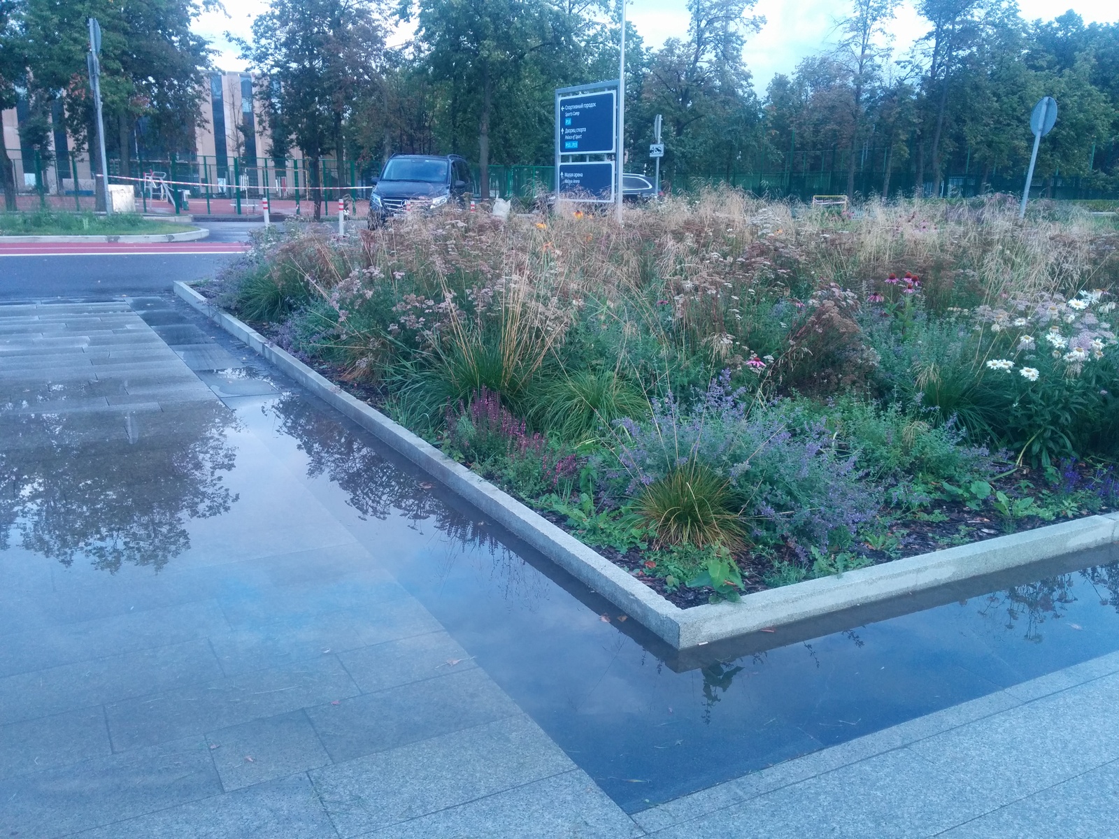 Embankment in Luzhniki after a light rain. - My, Luzhniki, Gutter, After the rain