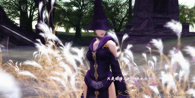 The beginning of my life in Lineage II [Part X] - My, Lineage 2, MMORPG, Longpost