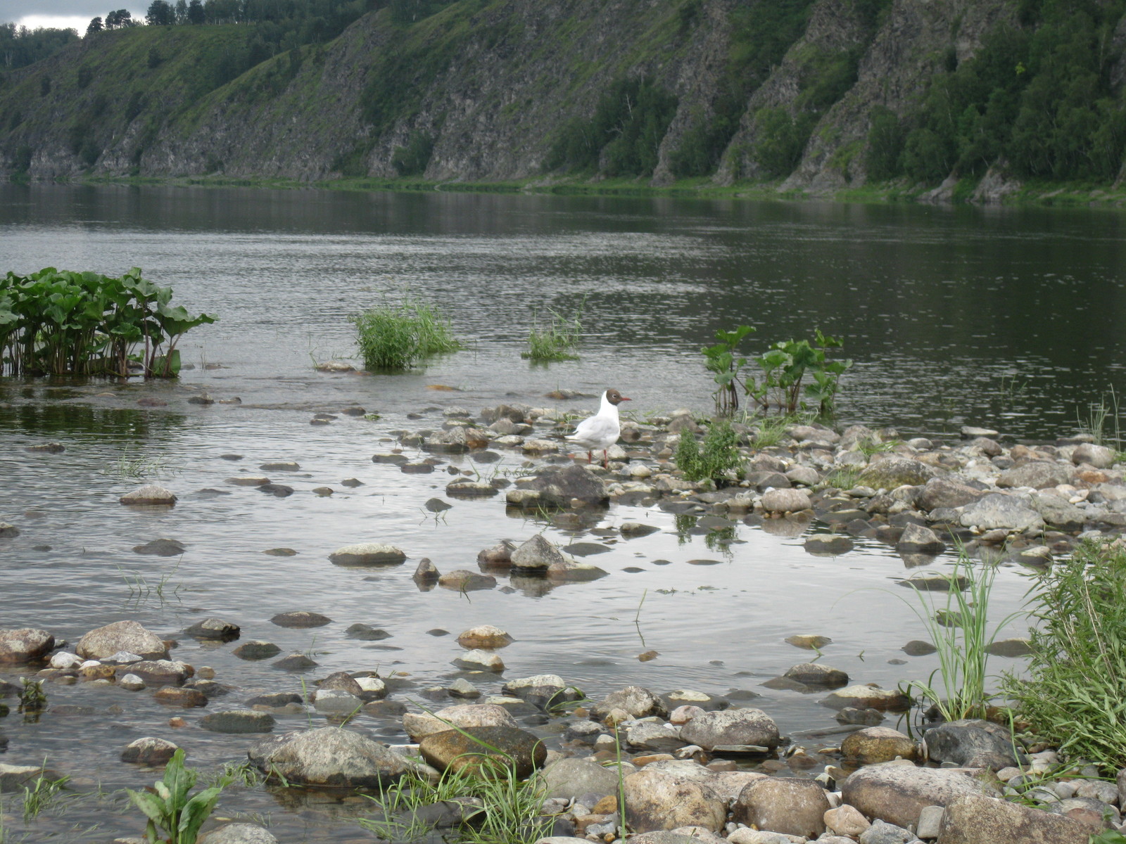 Rest from civilization - My, Travels, A boat, The nature of Russia, Camping, Longpost