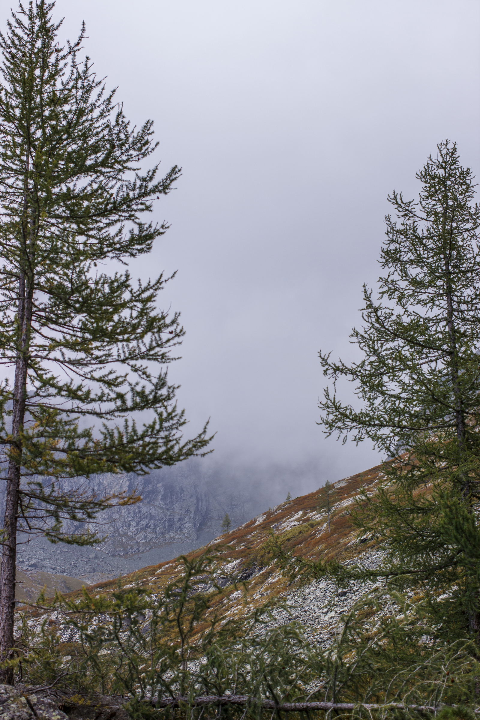 Mountain Altai - My, Photographer, My, Mountain Altai, Longpost, Altai Republic