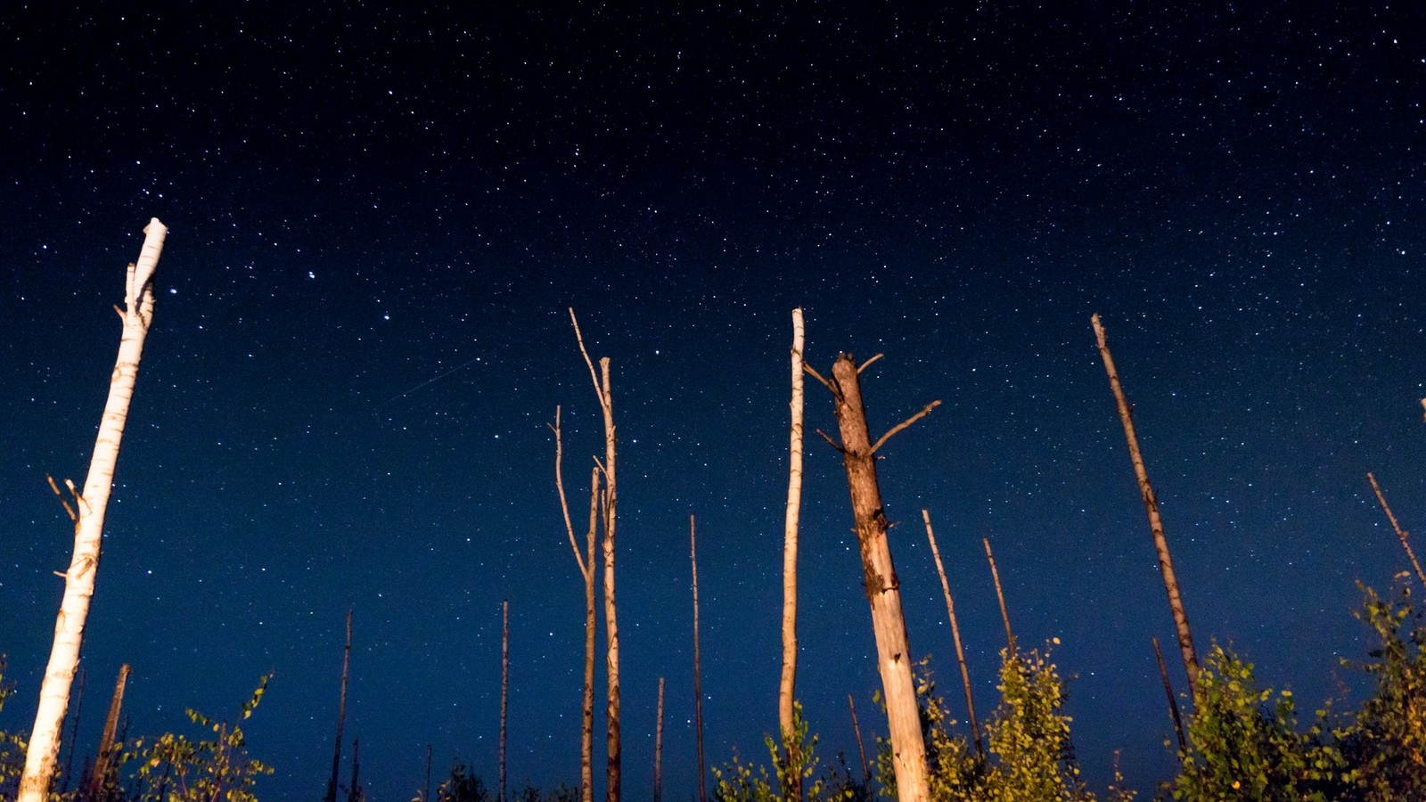 Lakes Lebedinsky and Izyary - My, Chuvashia, Zavolzhye, Summer, Night, Forest, Landscape, Starry sky, Longpost