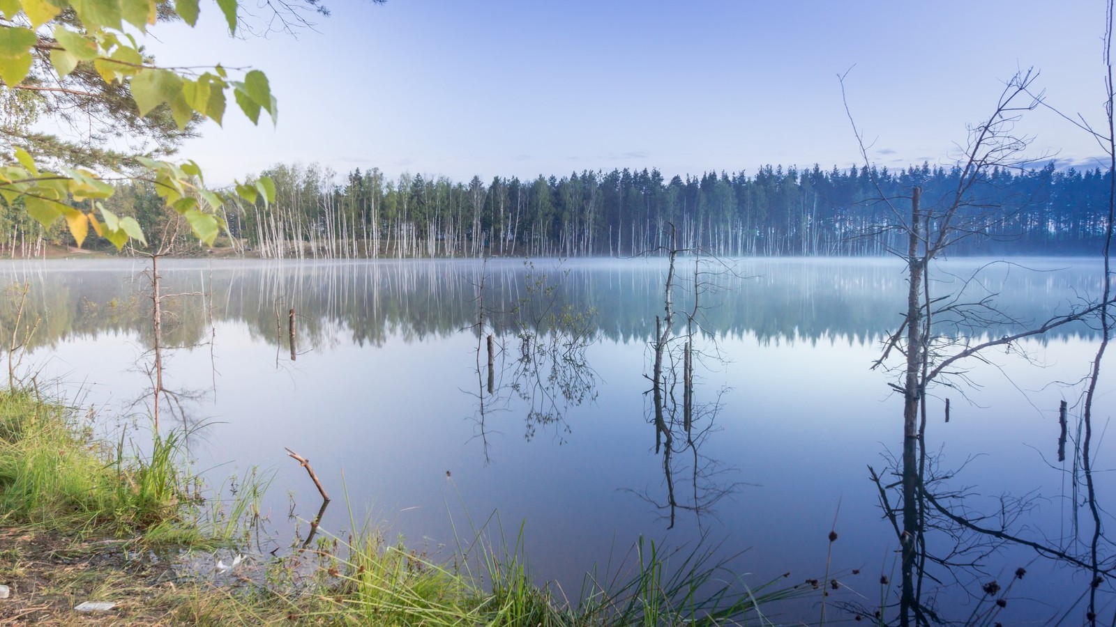 Lakes Lebedinsky and Izyary - My, Chuvashia, Zavolzhye, Summer, Night, Forest, Landscape, Starry sky, Longpost