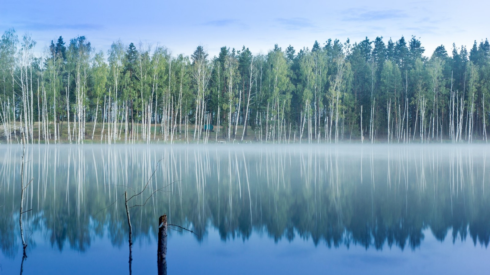 Lakes Lebedinsky and Izyary - My, Chuvashia, Zavolzhye, Summer, Night, Forest, Landscape, Starry sky, Longpost