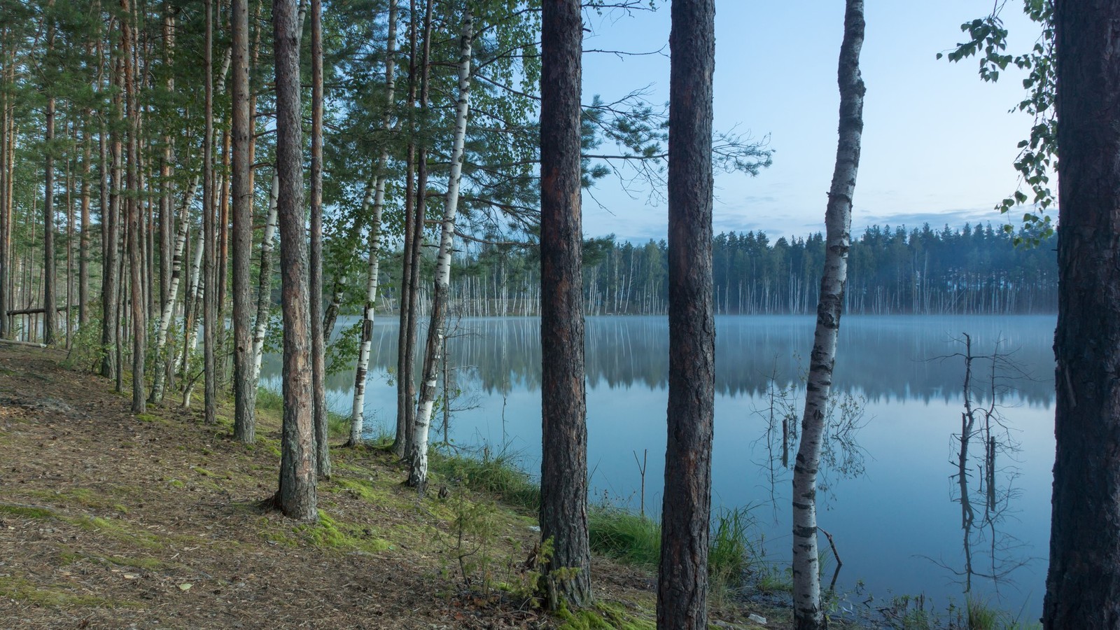 Lakes Lebedinsky and Izyary - My, Chuvashia, Zavolzhye, Summer, Night, Forest, Landscape, Starry sky, Longpost