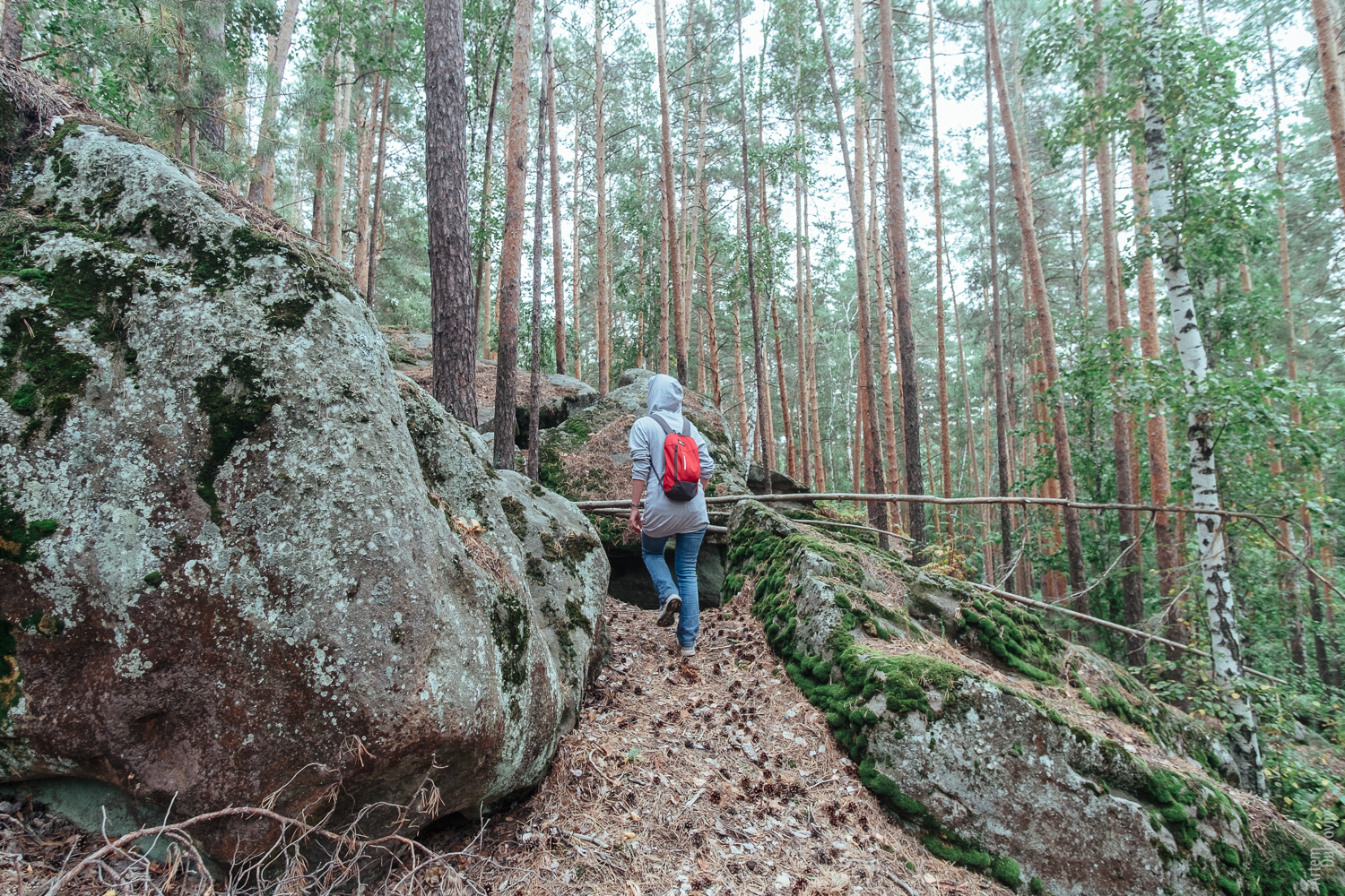 Rachey rocks. - My, Samara, Tracking, Travel across Russia, Forest, The rocks, The photo, Landscape, Longpost