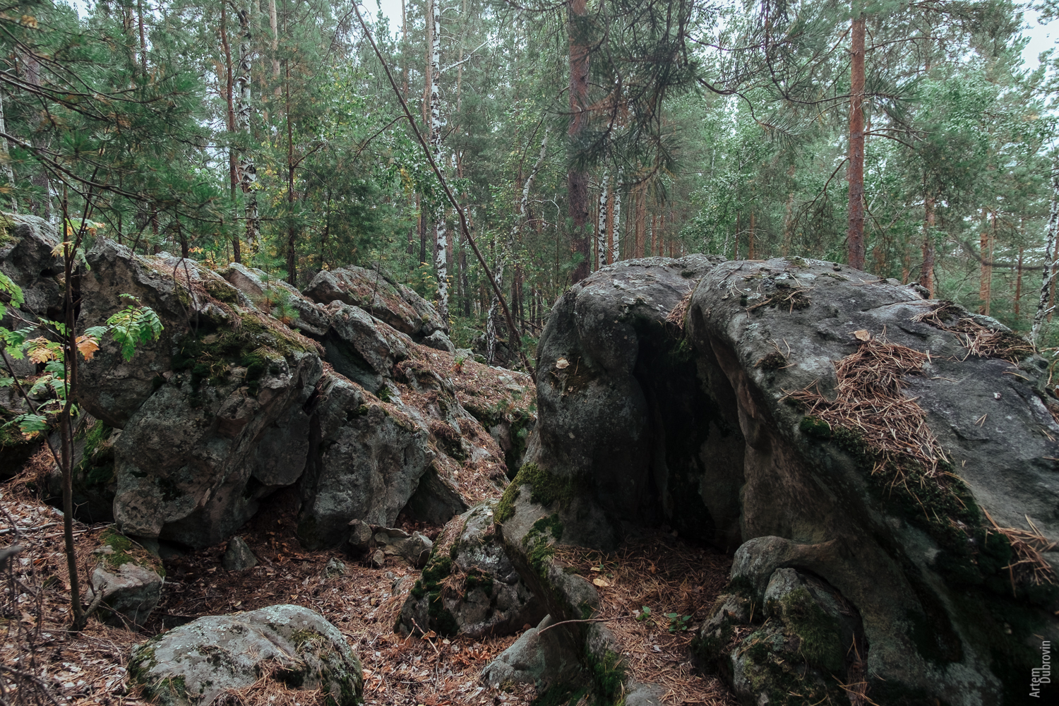 Рачейские скалы. - Моё, Самара, Трекинг, Путешествие по России, Лес, Скалы, Фотография, Пейзаж, Длиннопост