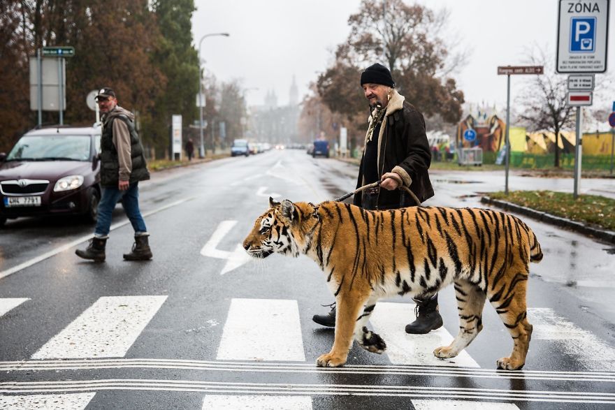 Photos by David Tesinski. - NSFW, The photo, Peace, , The street, Longpost