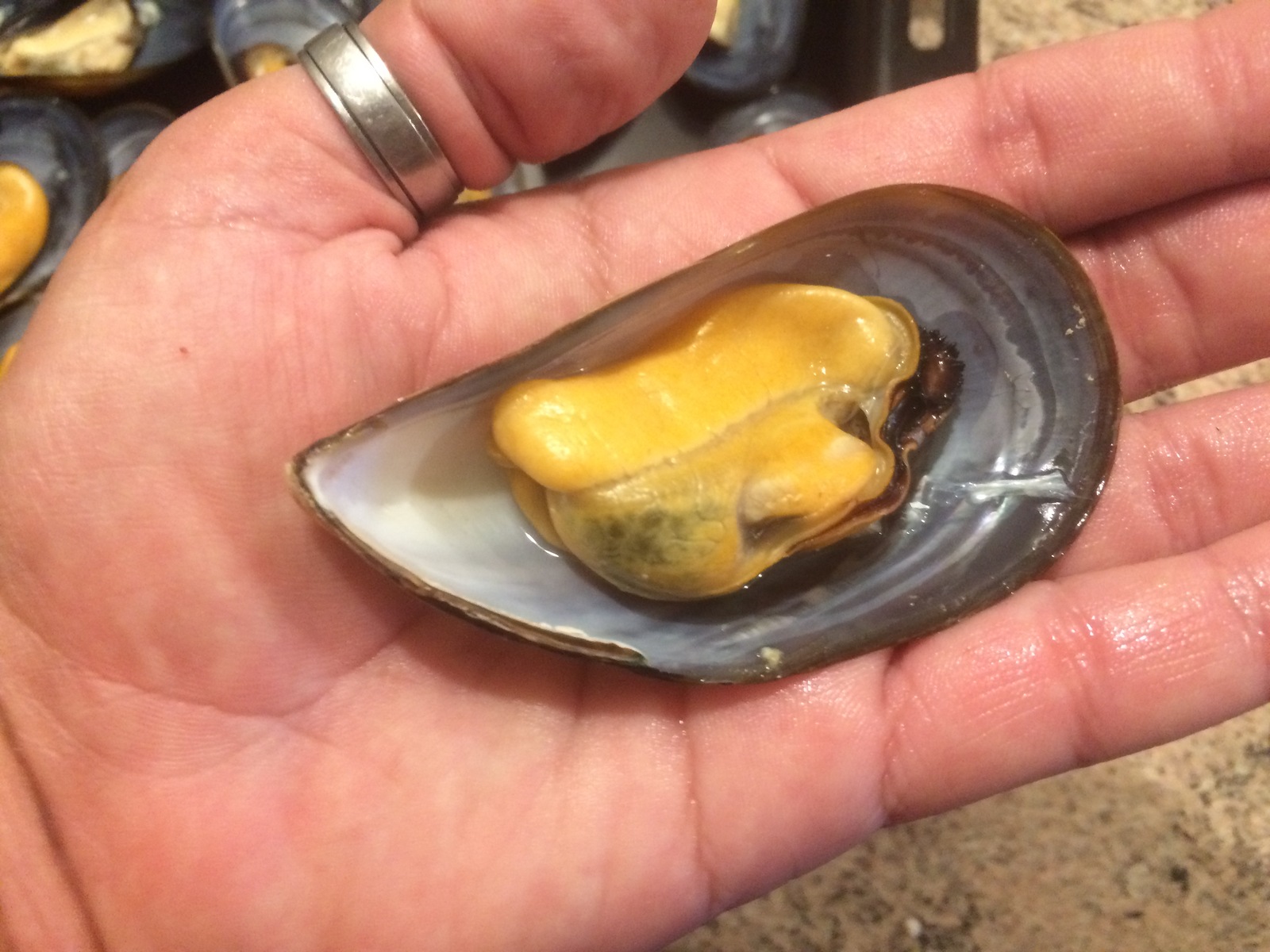 Baked mussels topped with spicy cheese. - My, Mussels, Recipe, Kitchen, Food, Preparation, Yummy, , , Longpost, Juiciness