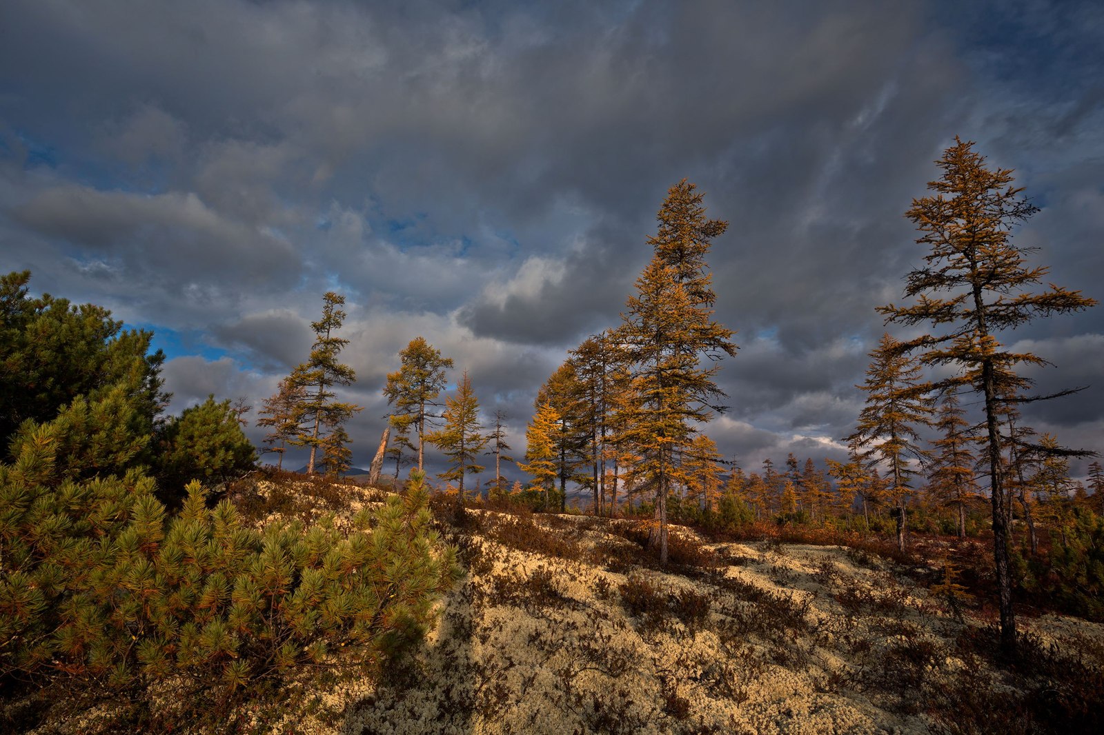 Kolyma - , Russia, The photo, Nature, Landscape, Gotta go, Longpost